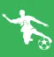 FootyLight logo