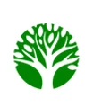 Forest Superfood