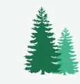 Forest Systems logo