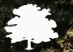 The Forest Road Company logo
