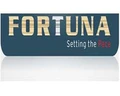 Fortuna Engineering