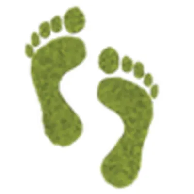 Fortune  Footprints