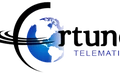Fortune Telematics