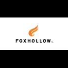 FoxHollow Technologies logo