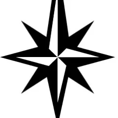 FPX Nickel logo