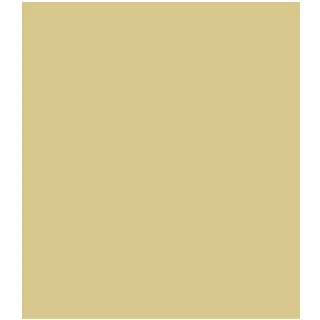 FRATELLI DESIDERI logo