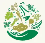 Fresh Organic Choice logo