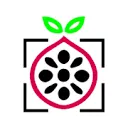 Fruit Formulations