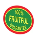 Fruitful Home logo