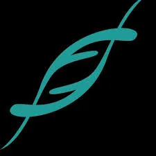 Fulcrum Venture India