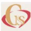 G S Software
