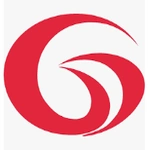 G-Vision International logo