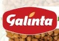 Galinta logo