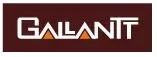Gallantt Group