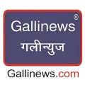 GalliNews logo