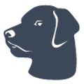 Galvin Technologies logo