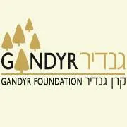 Gandir Group logo