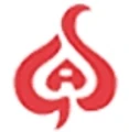 Gas Alarm Systems logo