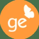 GE Consulting logo
