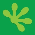 Gecko Covers logo