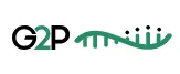 Gene to Protein