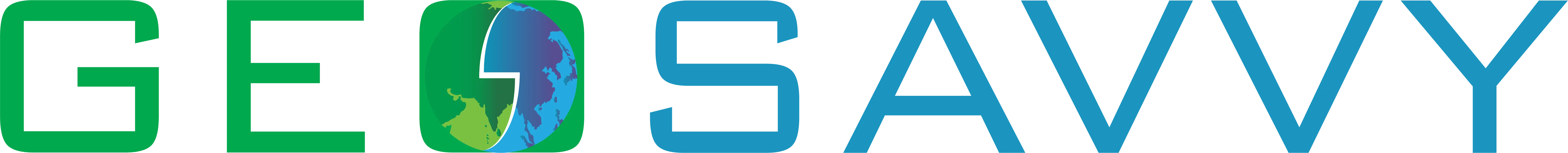Geosavvy