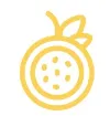 Passionfruit logo