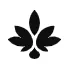 Salve logo