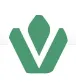 Vamo logo