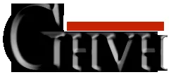 GHVH Asia logo