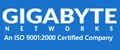Gigabyte Networks