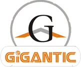 Gigantic Infotel logo