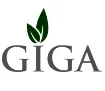 GIGA Solutions logo