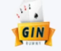 GIN Rummy