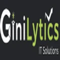 GiniLytics