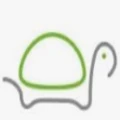 GiveTurtle logo