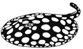 Global Fish Co logo