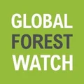 Global Forest Watch logo