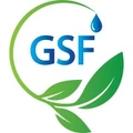 Global Sustainable Future logo