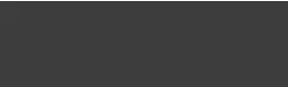 GlobeIn logo
