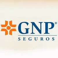 Grupo Nacional Provincial