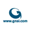GlobalNet Services logo