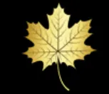 Gold Leaf Insurance Brokers
