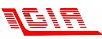 Golden Isles Aviation logo