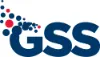 Gold Standard Simulations logo