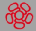 Goodera Information Technologies