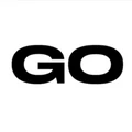 GoPractice logo