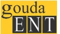 Gouda Ramesh ENT