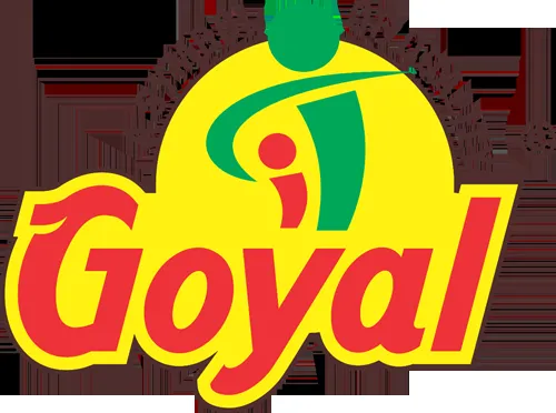 Goyal Salt