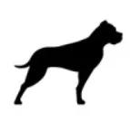 GP Bullhound logo
